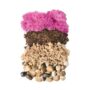 Terrarium Kit DIY Jar – Newport